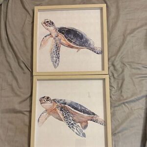 Sea Turtle Wall Art Set